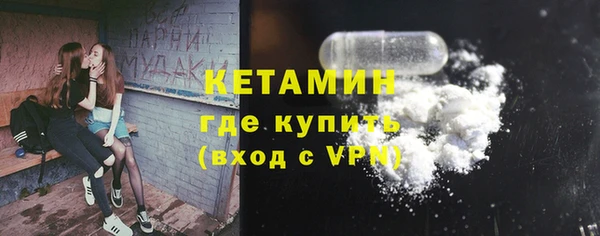 прущие грибы Каменка
