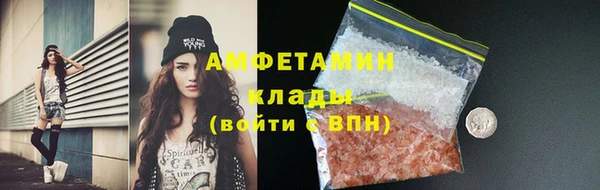 прущие грибы Каменка
