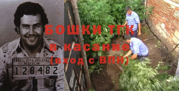 прущие грибы Каменка