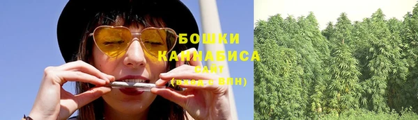 прущие грибы Каменка