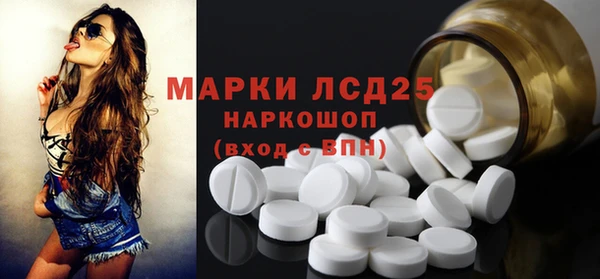 прущие грибы Каменка