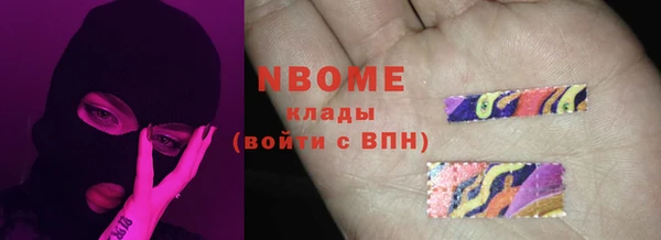 прущие грибы Каменка