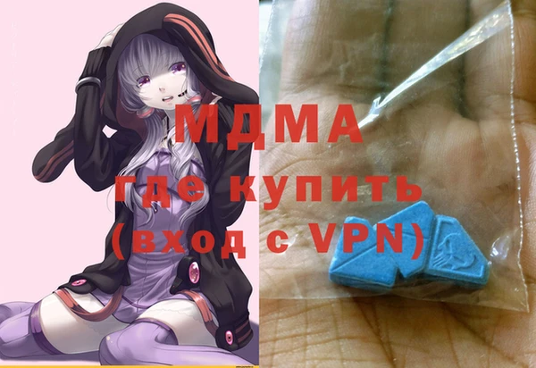 прущие грибы Каменка