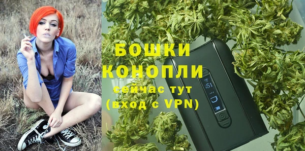 прущие грибы Каменка