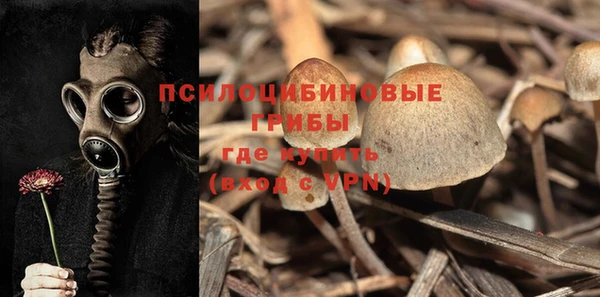 мескалин Каменногорск