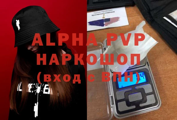 прущие грибы Каменка