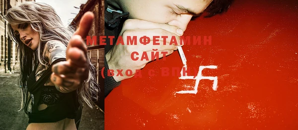 прущие грибы Каменка