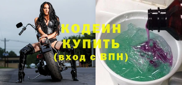 прущие грибы Каменка