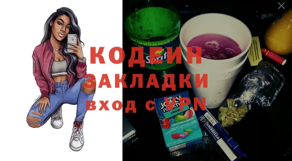 прущие грибы Каменка