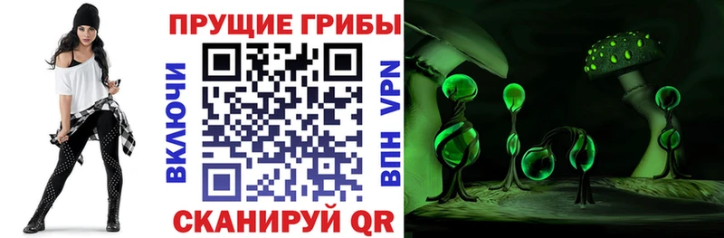 Галлюциногенные грибы ЛСД Купить закладки Вичуга